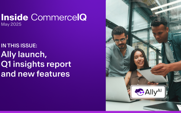 Ally Launch and Q1 Insights Report, AI product launch newsletter